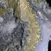 kuswanditoples