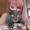 kittyrex4
