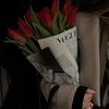 hba_233