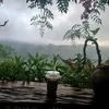 thanhxuan_1002