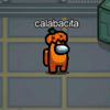 calabacita35