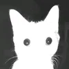 ghost_krow