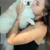 www.tiktok.com.emiliers