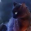 katofstorms