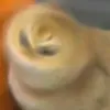 su_per_bitch1