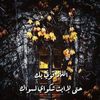 aliaagamal210