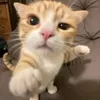 wvwvwvvwv_wvwvwv