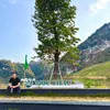 _nguyenphutung_