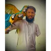 hafizbirds_official
