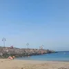 ellak82307