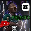 porcaedits