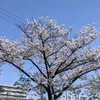 keiji1216