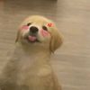 sujin_zi