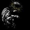 itz_alex_xq