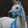 abdallah_96__yuossef