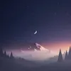 tvtbidao