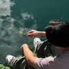 dangsdonuts