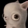 suus1gkeiten_