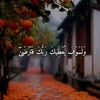 all_1b