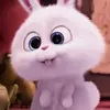 mimi đời bất thường