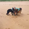 louisethomson33