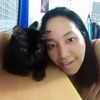 dummy_straycat