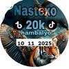 nesteexo_0