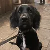 kateandbarkley