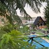 waad_726