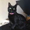 ggpeaches39