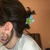 jakesgf1_