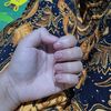 trisuaspi93