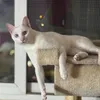 monik_itzi