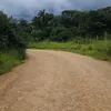 maretupi