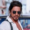shahrukhkhan1333