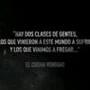 arnold14.0