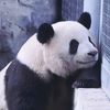 anh231820