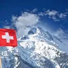 swisswinn