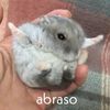 ozuna_jot