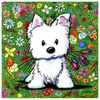 terriwestie