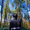 _damarsya