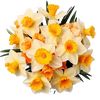 fadi.hadad6
