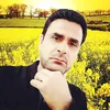 hamedbrzne1