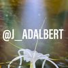 j_adalberto