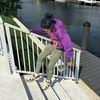 just_sean305