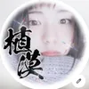 博多の植漠君