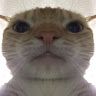 big_chungus7