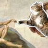 triplemmmeows