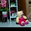 user23192395