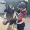 katie.feay.main
